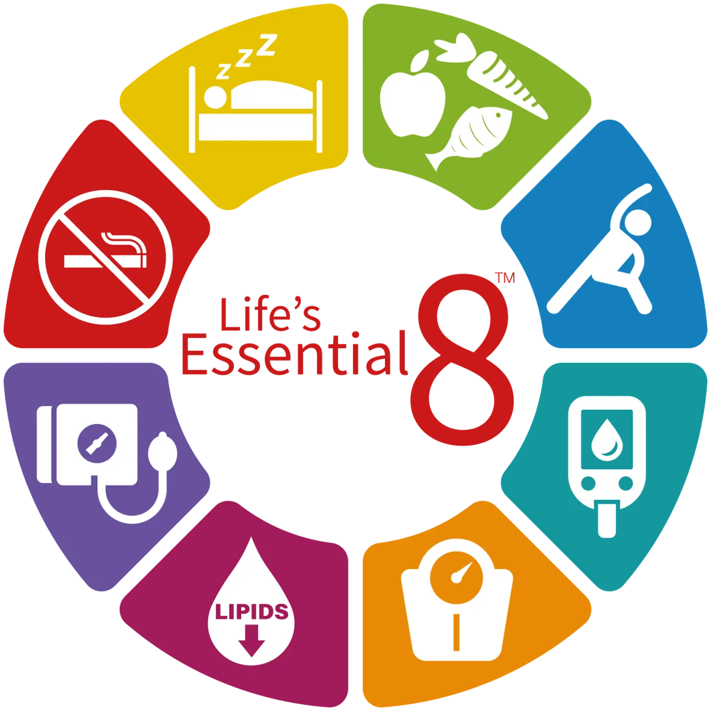 GZ Kampagne Lifes Essential 8